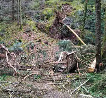 Bugginger Hütte