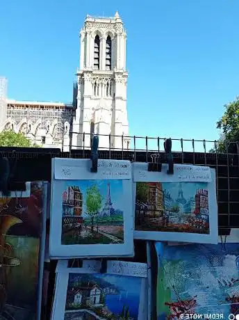 Place Jussieu