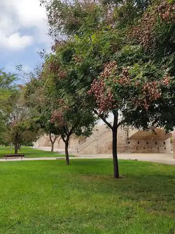Photo de Jardà del Túria - Tram VII