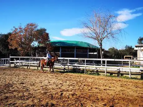 Photo de Tefiti Centro Equestre