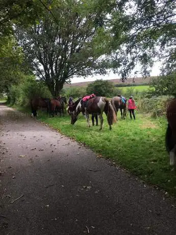 The Old Mill Stables Equestrian Centre