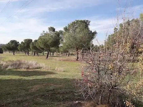 Photo de Parque forestal Adolfo Suárez