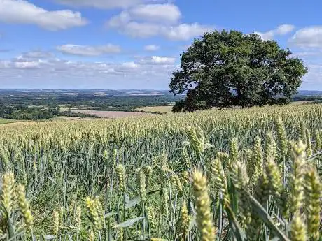 Photo de Pilot Hill
