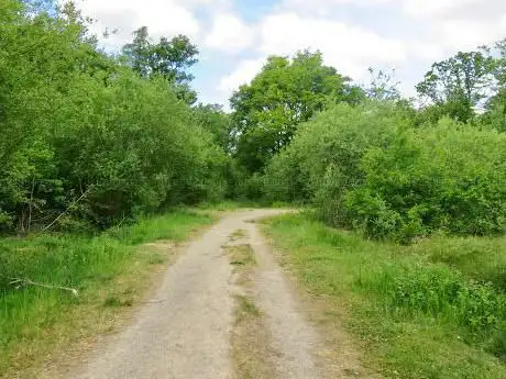 Photo de Webb's Wood