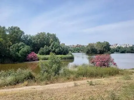 Photo de San Antonio Park