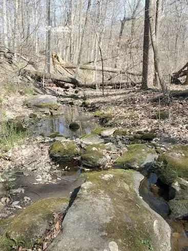 Photo de Bellaire Woods Nature Preserve