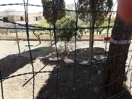 Photo de Villa San Francesco