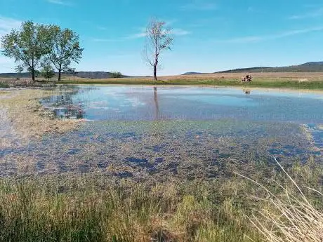 Photo de Laguna de Tamajón