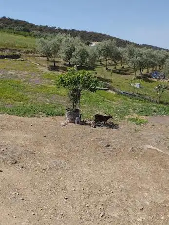 Sendero del Calvario