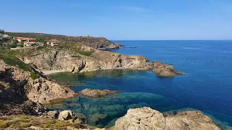 View point