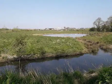 Ince marshes