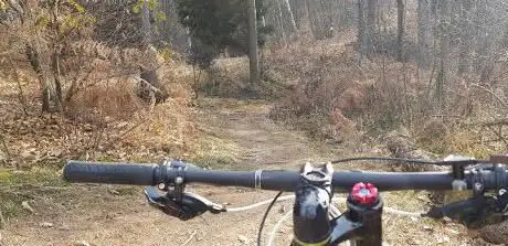 Photo de MTB I Gufi