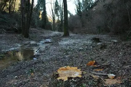 Photo de Percorso Naturalistico della Valsorda
