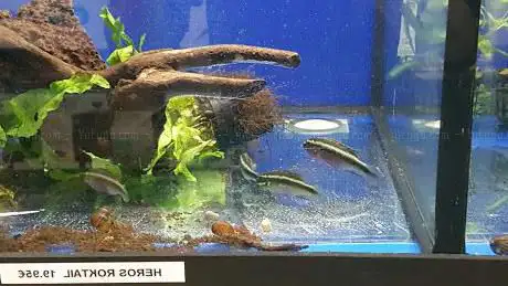 Photo de PlantasyGambas & Reef