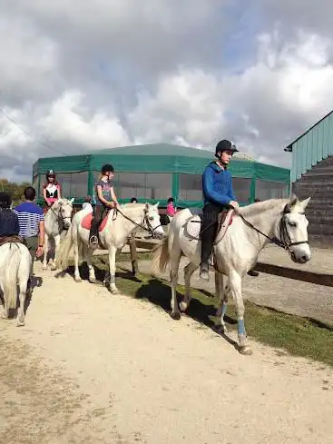 Kerguélen Equitation