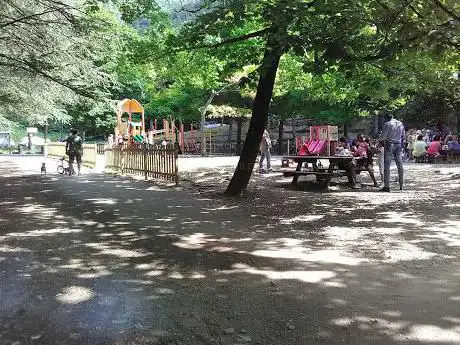 the Peralto Park