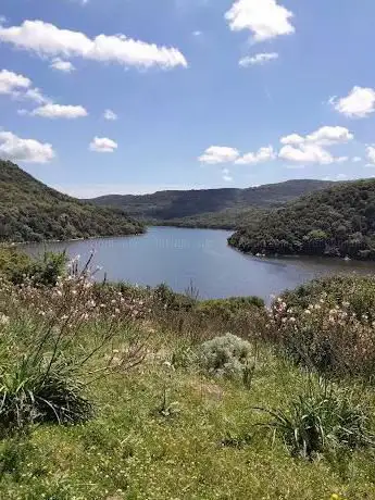 Lake Amodeo Oasis
