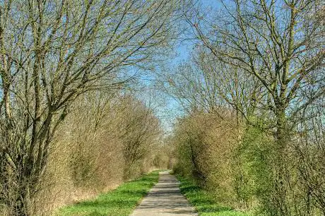 Voie verte de l'Avesnois