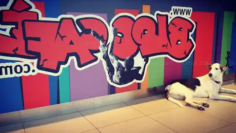 Photo de Bloc Cafè Gym Boulder