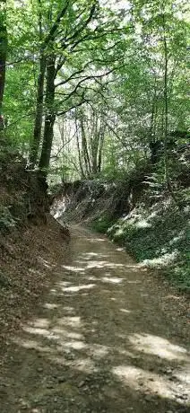 Photo de Holle weg 
