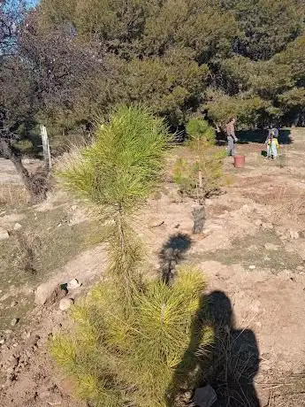 Photo de La Ruta de las Ardillas del Barrio de la Caña