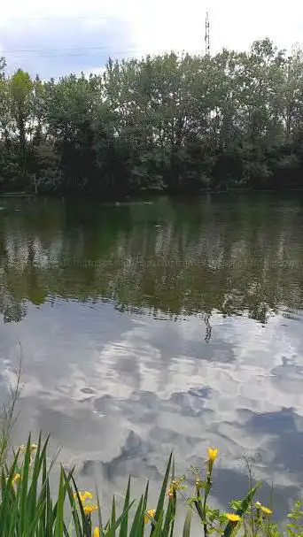 Photo de Parque Ecológico de Plaiaundi