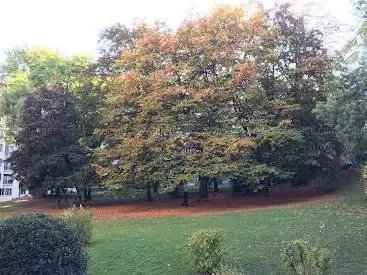 Photo de Parc de l'Indien