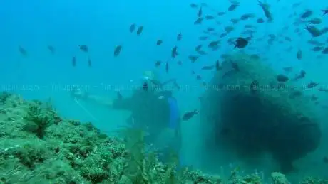 Photo de Dive Center Salou