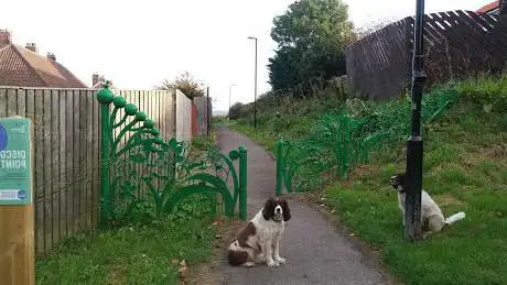 Jonno's Field