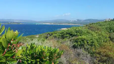 Spiaggia Monte Iacheddu