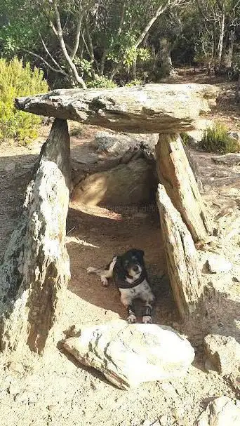 Photo de Dolmen de Coll de Madas III