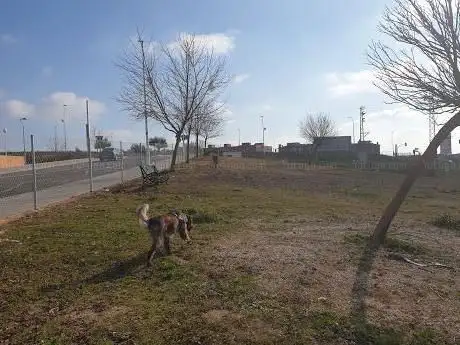 Photo de Area canina Montealto