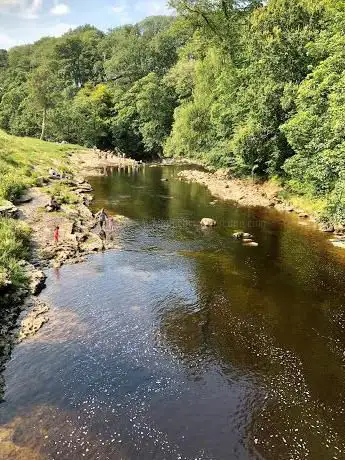 Stainforth Force