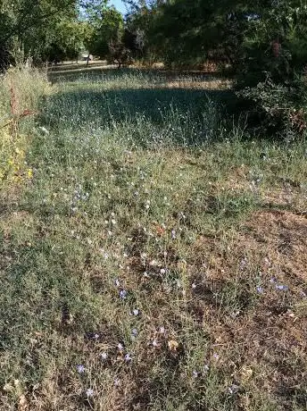 Photo de Talaveras Park