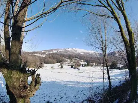 Parco Del Camorino