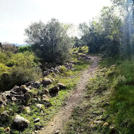Photo de El Bosque del Tiempo