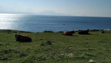 Photo de Mirador de GuadalmesÃ