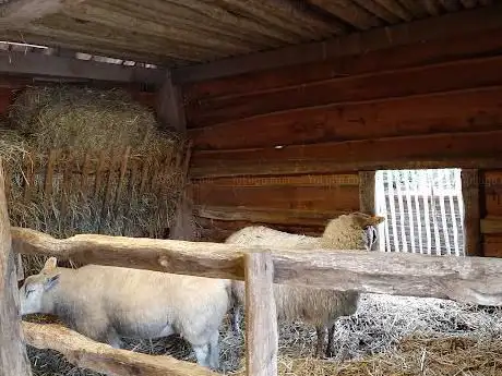 Kerststal Tongerlo landelijke gilde