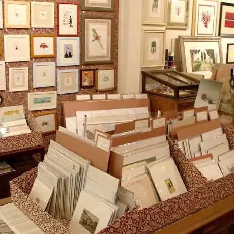 Photo de Il Tamarino Stampe d'Arte