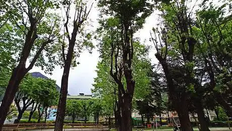 Giardini pubblici