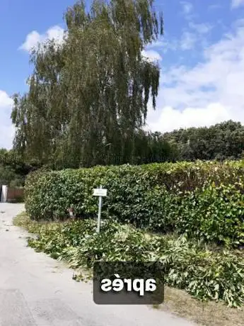 Photo de Hochard espace vert paysagiste elagage taille de haie abattage arbres
