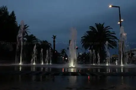 Photo de Pineta