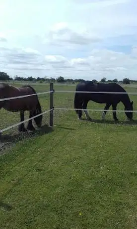 Hayfield Stables Livery yard.