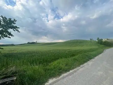 Punto panoramico
