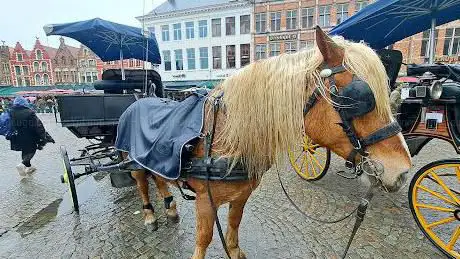 Photo de (Carriage) City Tours Bruges