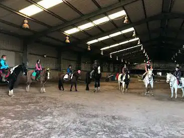 Photo de Clancy Equine @ Ballybrack Equestrian Centre