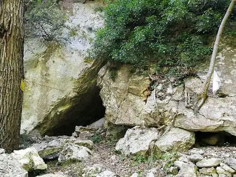 Photo de Grotta Arma Veirana