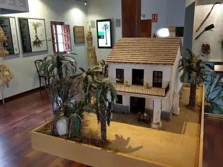 Photo de Museo del Palmeral