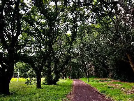 Strouden Park Nature Reserve