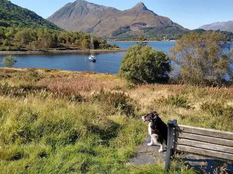 Photo de Loch Leven à Ballachulish